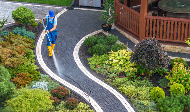 Best House Pressure Washing  in Dumont, NJ