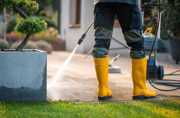 Best Residential Pressure Washing Services  in Dumont, NJ
